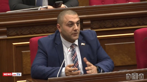 ՔՊ–ական պատգամավորն առաջարկում է թափառող շների հարցը լուծել Կառավարության մակարդակով