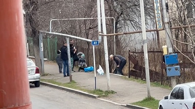Նիկոլ Փաշինյանը Դիլիջանում թիկնապահների հսկողությամբ աղբ է հավաքում
