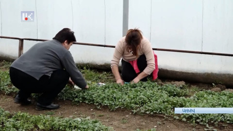 Գարնանացանը՝ Արցախում. թշնամին պարբերաբար կրակում է, վառելիքը դժվար է հայթայթվում