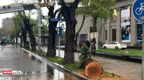 Ծառերի սպանդ Սայաթ Նովա պողոտայում