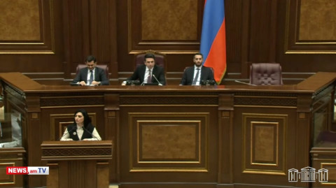 Թագուհի Թովմասյանն ակցիա է անում ԱԺ դահլիճում. Ալեն Սիմոնյանը ներս հրավիրեց անվտանգությանը