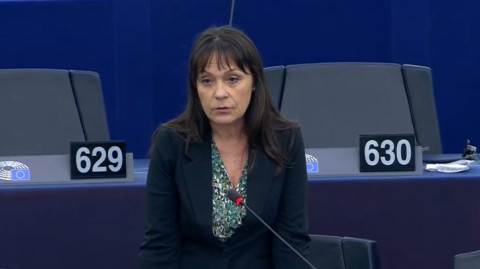 The lives of 120,000 people are at risk. Member of the European Parliament to Borrell