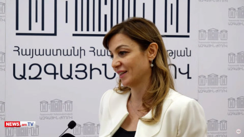 Ես նման արտահայտություն չեմ արել. ընդդիմության թեկնածուն՝ ժողովրդին «ոչխար» ասելու մասին