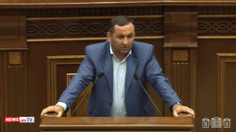 Միգուցե էսօր էլ կան շարքային գողություններ բանակում. ՔՊ–ական պատգամավոր
