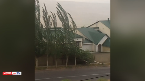 Երեւանում ուժեղ քամուց բարդի է տապալվել