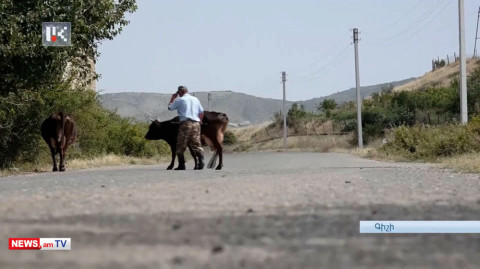 «Խայտառակ վիճակ է, վառելիք չկա». Արցախի Գիշի գյուղի խանութները դատարկ են