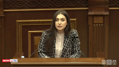 «Նիկոլը չէր կարող բոլորին ուղարկել Բաքվի բանտ, դրա համար ստեղծել է նիկոլական պատժիչ ջոկատներ»