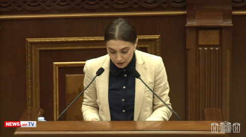 Տերերի պատասխանը՝ «Նիկոլ, լավ չի լսվում, տեղդ փոխի». Աննա Մկրտչյան