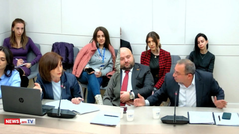Կողմ քվեարկեք եւ ամոթ այն մարդկանց, ովքեր ձեզ դավաճան կասեն. Արծվիկ Մինասյանը՝ Արփի Դավոյանին