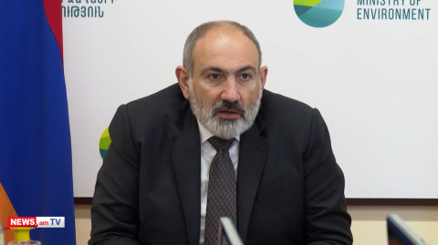 Նկատի չունեմ՝ ծառերը կտրեն կամ կենդանիների կոտորած անեն, որ եկամուտներն աճեն. Փաշինյան