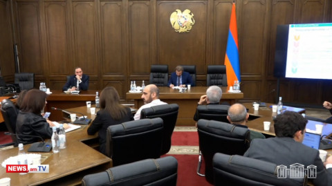 Բյուջեն չեք ծախսելու, որովհետեւ աշխատողների պակաս ունեք. Արփի Դավոյանը՝ ԲՏԱ նախարարին