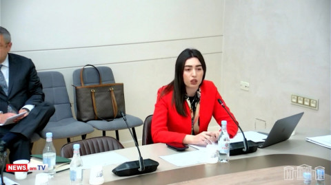 2023թ-ին ԵՄ-ից ստացել ենք անօրինական բնակվող քաղաքացիների վերադարձման 411 հայտ. ՆԳ փոխնախարար