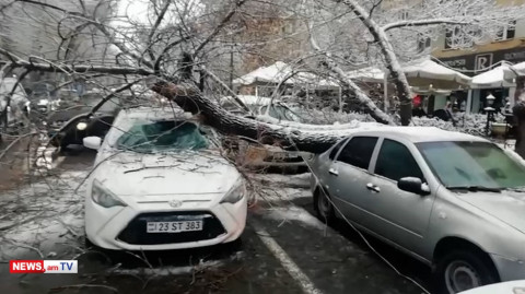 Tree falls on cars waiting at traffic light in downtown Yerevan