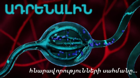 Ադրենալին. ինչպես կարող է մեկ հորմոնը ձեզ սուպերմարդ դարձնել