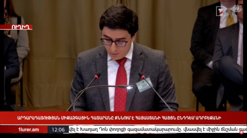 Ադրբեջանի կողմից թույլատրվում է համատարած ռասիզմ. Եղիշե Կիրակոսյանի ելույթը Հաագայի դատարանում