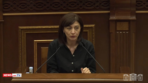 Արցախի թեմի առաջնորդը պետք է մնար Արցախում ու ճգներ. Արփի Դավոյան
