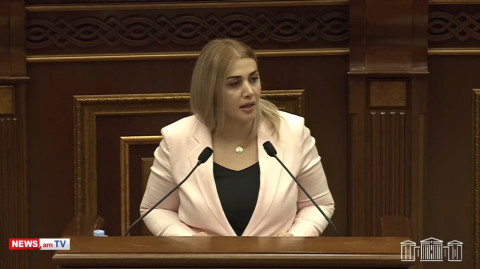 Արդեն դիմակավորված բանդաներն են հարցեր լուծում՝ իրավապահների թողտվությամբ. Էլինար Վարդանյան