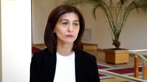 Ես Բագրատ Գալստանյանի հետ քննարկելու բան չունեմ. նա քաղաքականապես հասուն մարդ չէ. Արփի Դավոյան
