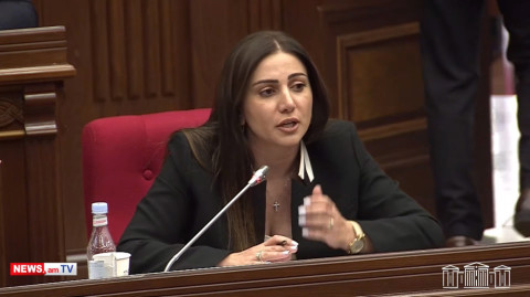 Մարդիկ մեքենաներում են գիշերում, որ կարողանան անձնագիր փոխել ու մեկնել հանգստի. ՔՊ–ականը դժգոհեց