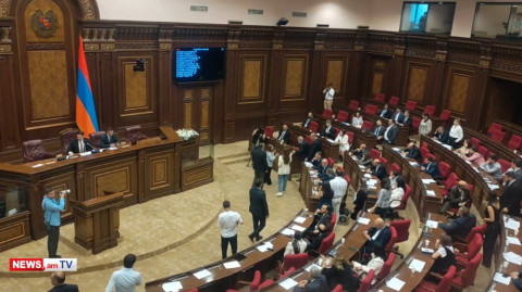 Քրիստինե Վարդանյանը Փաշինյանին ցույց է տալիս իր կառուցած «ժողովրդավարության» պատկերը
