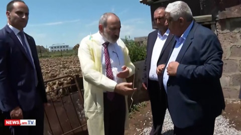 Օրը ինչքա՞ն կաթ է տալիս. պտի խոշոր եղջերավոր անասունի սորտը փոխվի. Փաշինյանը` Ռյա Թազայում