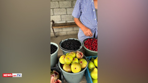 Էնքան լավն էր, որ էսօր վերադարձա հատուկ թուզ գնելու. Փաշինյանը՝ Վազաշենում
