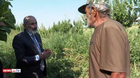 «Մեզնից պամիդորը 120-130–ով տանում են, շուկայում թանկ ծախում». Արարատի բնակիչը՝ Փաշինյանին