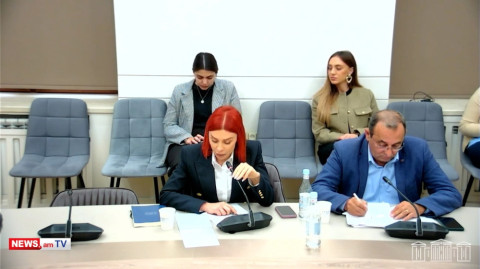 ԱԱԾ և ՊՊԾ աշխատողները, քննիչն ու ոստիկանը չպետք է թմրանյութ օգտագործեն. Ագնեսա Խամոյանի նոր նախագիծը
