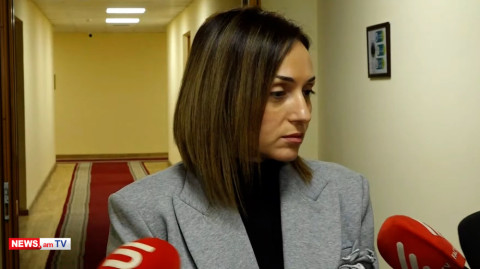 Օվերչուկը պետք է ճիշտ գնահատի ՀՀ-ի իրավիճակը, տարօրինակ ակնարկներ է արել. Ծովինար Վարդանյան