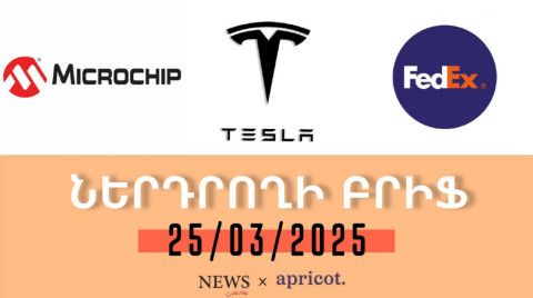 Tesla-ի բաժնետոմսերը մեկ ամսում 20% անկում են գրանցել. «Ներդրողի բրիֆ 25.03.25»