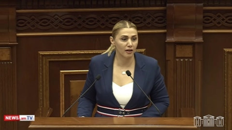 Բոլորի աչքի առաջ տեղի է ունենում այլանդակ պրոցես. Էլինար Վարդանյան
