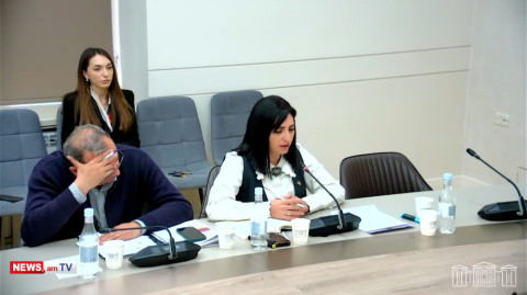 Դուք որպես իշխանություն հանդուրժեցիք քաղաքացու վրա թքելը. Թովմասյանը՝ Վարդանյանին