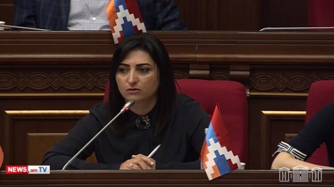 Չեմ հիշում էսպիսի զազրելի դեպք, որ մարդուն տանեն, խոշտանգեն ու մեկ տարի չբացահայտեք. պատգամավոր