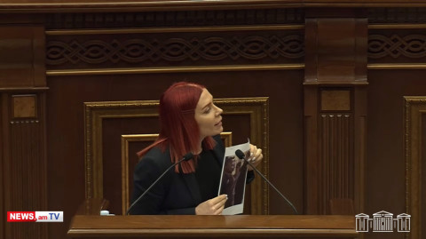 8 ոստիկաններ ներխուժել են Լիլիթի բնակարան, տարեց մոր ներկայությամբ բերման են ենթարկել բաժին. Խամոյան