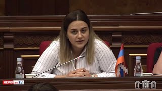 Բնապահպանության նախարարին վերագրվող արարքը հիմնավորված չէ. պատգամավորը՝ Մինասյանի մեղադրանքի մասին