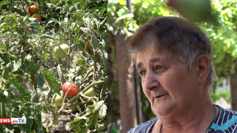 «Մեր տանջանքը գնում կորում ա, շարքից դուրս ա եկել ամեն ինչ». Քանաքեռավանում ոռոգման ջուր չկա
