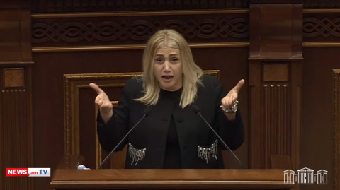 Էն, ինչ դուք անում եք դատական համակարգի հետ, իրավական ցինիզմ է. Էլինար Վարդանյան