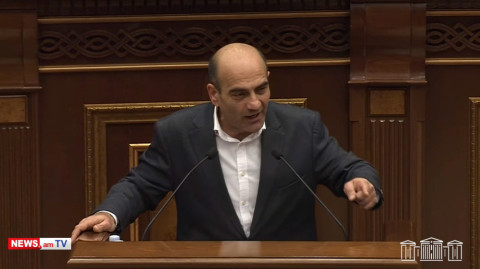 Դուք baby boom էիք խոստացել, հայրենադարձություն. խաբել եք. Թադեւոս Ավետիսյանը՝ իշխանությանը
