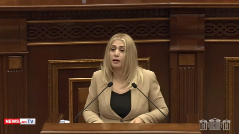 Ասում են՝ մեր կոռուպցիոներները կուլտուրական են, ձերը՝ կուլտուրական չեն. Էլինար Վարդանյան