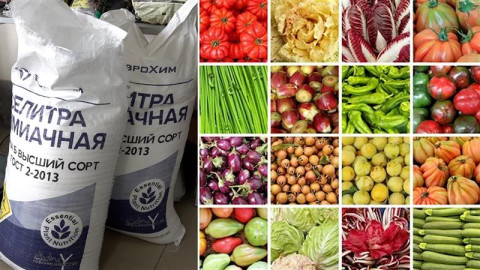 Գնաճի շղթայական ազդեցությունը․ պարարտանյութի թանկացումը ինչքա՞ն կթանկացնի գյուղմթերքի գները