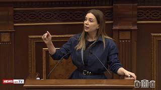 «Արարատ» անունով նախարար ունենք, ի՞նչ է, ինքը քայլող սադրա՞նք է. Աննա Գրիգորյան