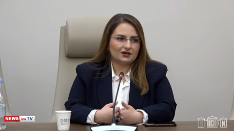 «Հայաստան» դաշինքը կքվեարկի՞ Սամվել Կարապետյանի օգտին. մեկնաբանում է Քրիստինե Վարդանյանը