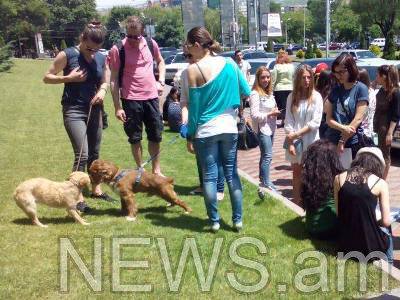 Կենդանասերների բողոքի ակցիան՝ քաղաքապետարանի դիմաց