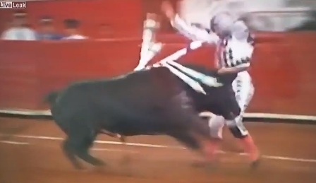 Սրտի շրջանում լուրջ վնասվածք ստացած ցլամարտիկը ողջ է մնացել