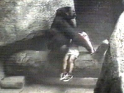 1996թ. տեսանյութում գորիլան անվտանգ տարածք է տեղափոխում 3-ամյա երեխային