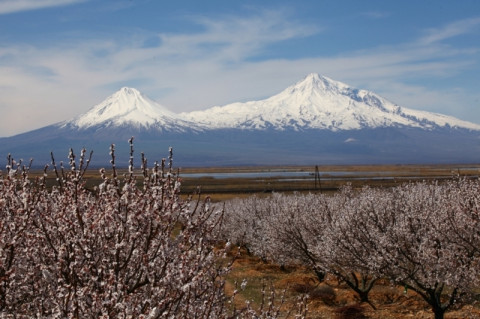 Զարթոնք. բնությունը հարություն է առել. կադրեր դրոնի տեսախցիկով