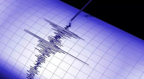В Иране произошло землетрясение магнитудой 4,8