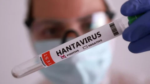 Во Франции подтвердили первый случай заражения хантавирусом