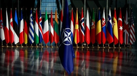 Военные игры союзников по НАТО: проверка реакции на Россию и поддержку со стороны США