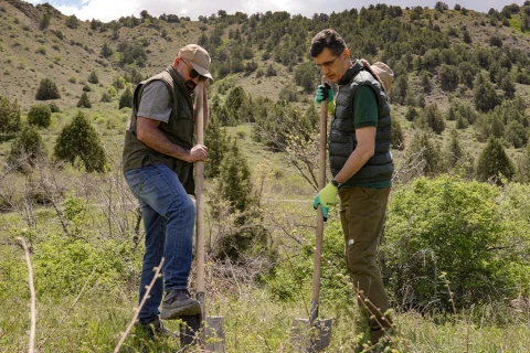 Ucom and SunChild Continue Joint Initiatives for a Greener Future